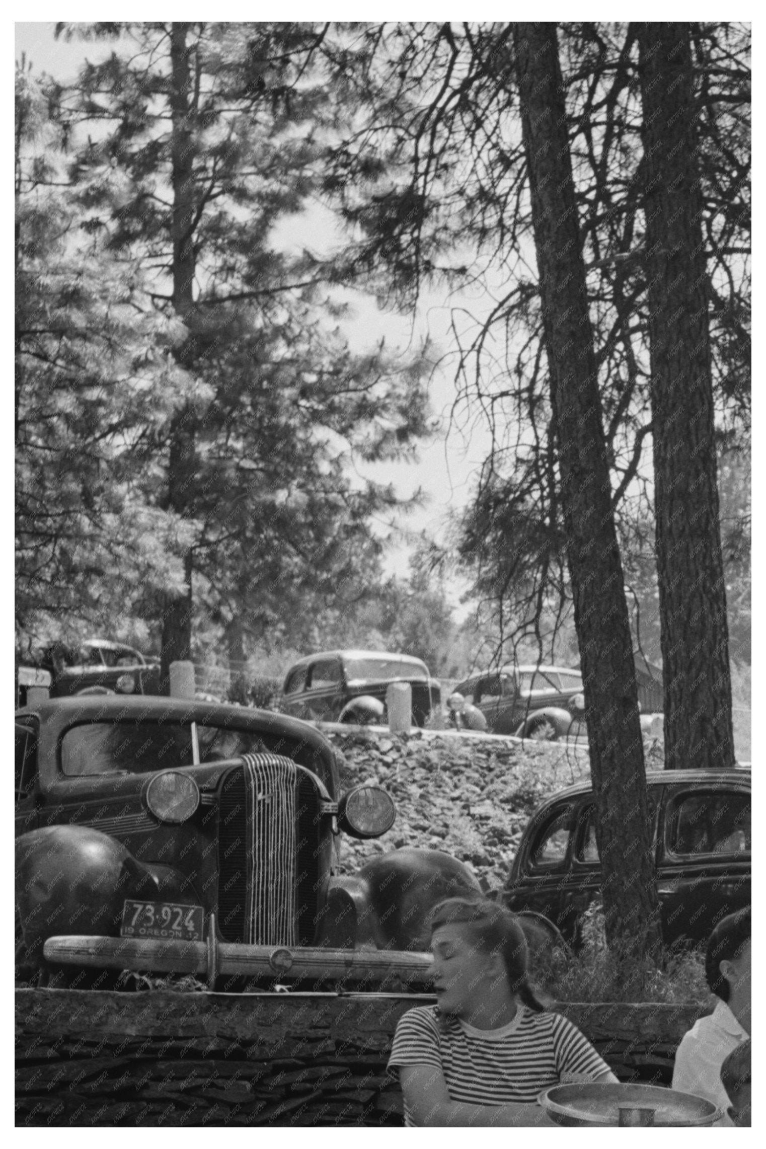 Picnickers at Klamath Falls Park July 1942