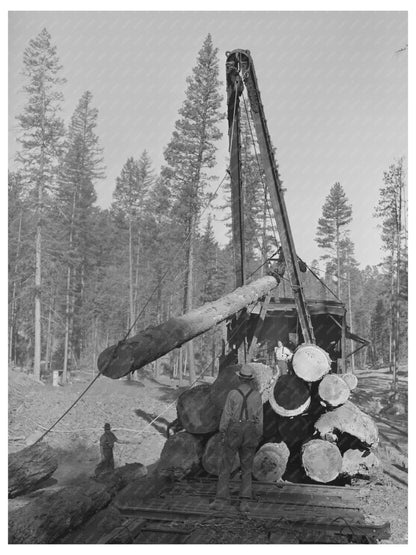 McGiffart Loading Machine Logs on Flatcars 1942