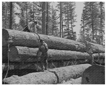 Loading Logs onto Flatcars in Grant County Oregon 1942