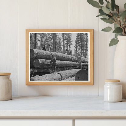 Loading Logs onto Flatcars in Grant County Oregon 1942