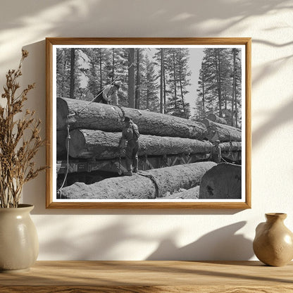 Loading Logs onto Flatcars in Grant County Oregon 1942