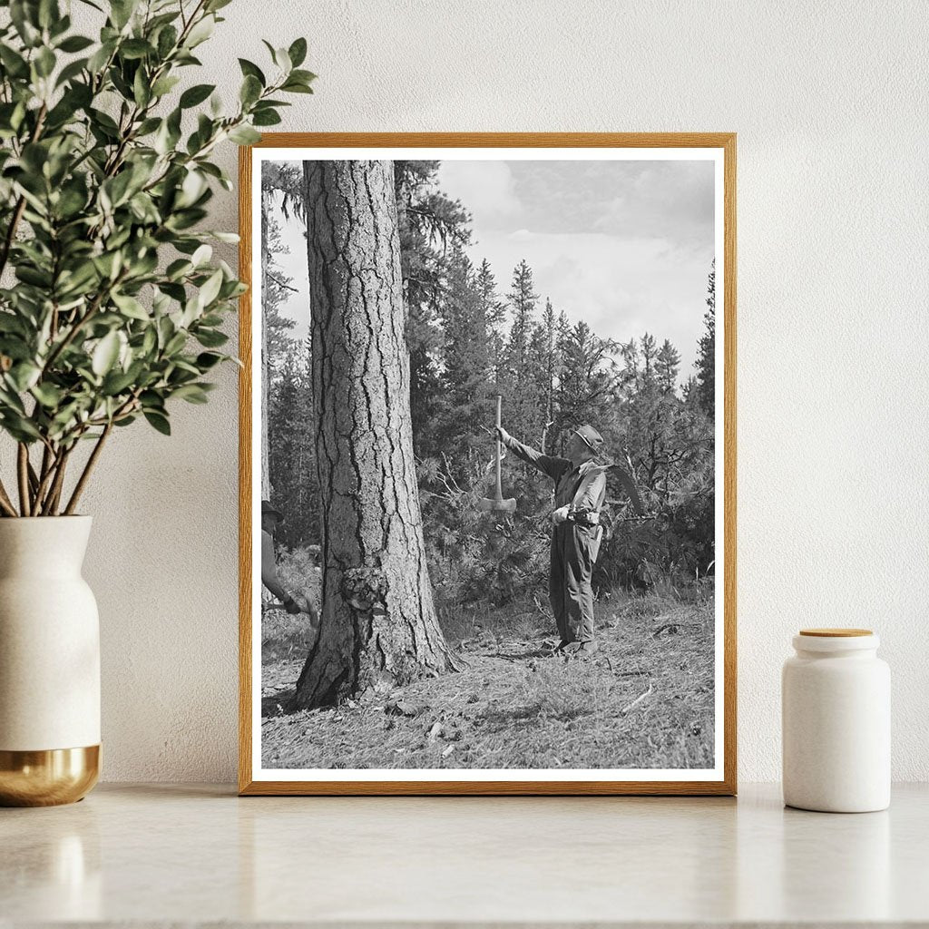 Lumberjack Sighting Tree in Malheur National Forest 1942