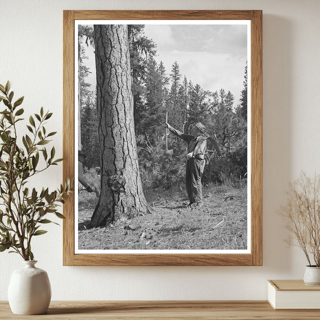 Lumberjack Sighting Tree in Malheur National Forest 1942