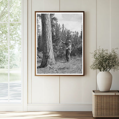 Lumberjack Sighting Tree in Malheur National Forest 1942