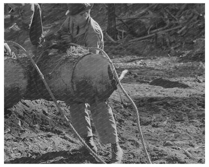 Lumberjacks Transporting Logs in Malheur National Forest 1942