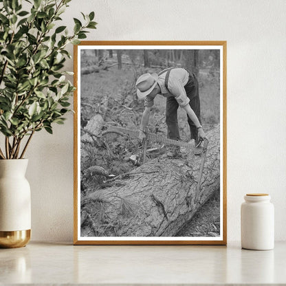 Lumberjack Measuring Logs in Malheur Forest July 1942