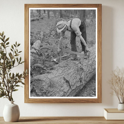 Lumberjack Measuring Logs in Malheur Forest July 1942