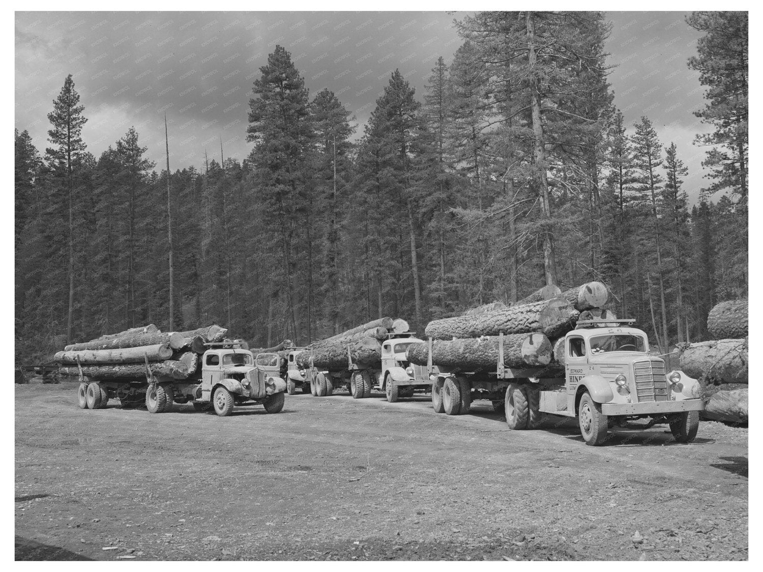 Logs in Grant County Oregon July 1942 Timber Industry