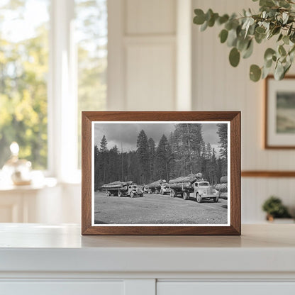 Logs in Grant County Oregon July 1942 Timber Industry