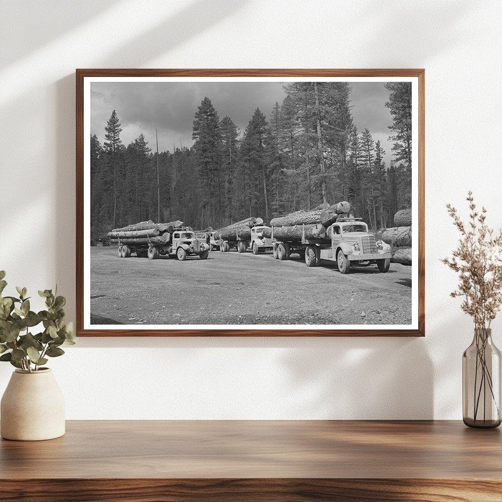 Logs in Grant County Oregon July 1942 Timber Industry