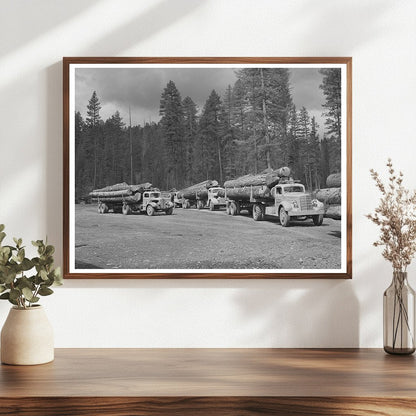 Logs in Grant County Oregon July 1942 Timber Industry