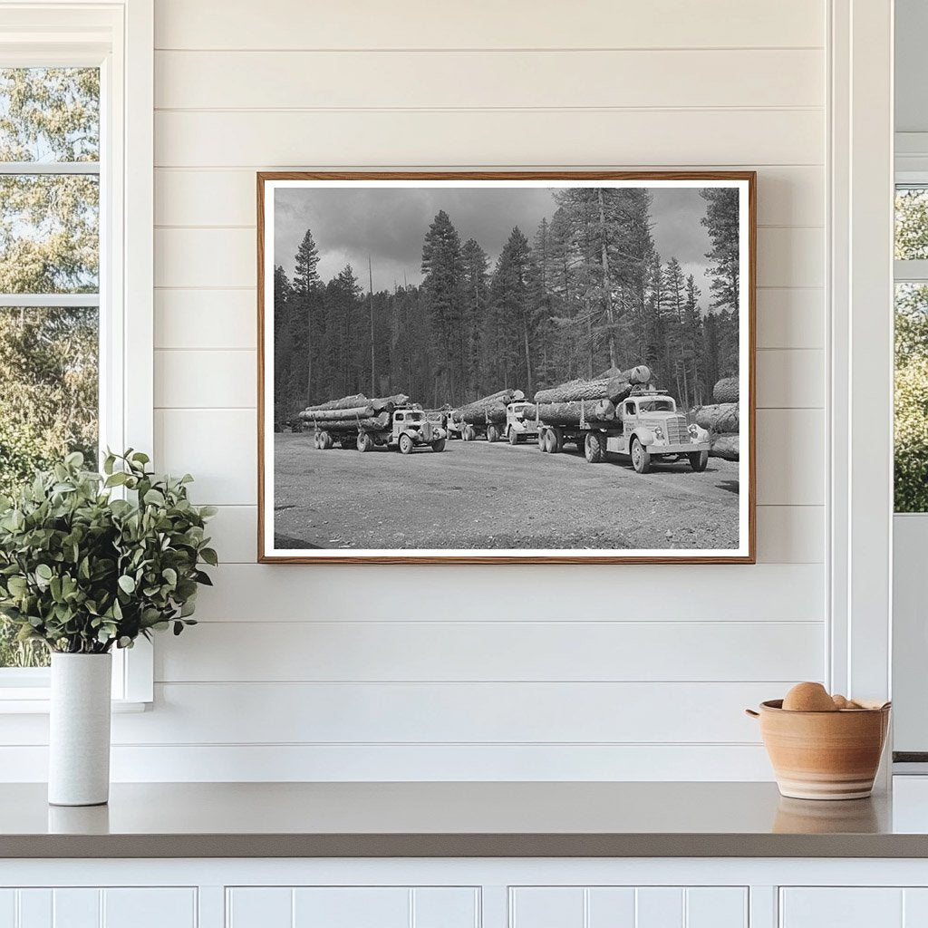 Logs in Grant County Oregon July 1942 Timber Industry