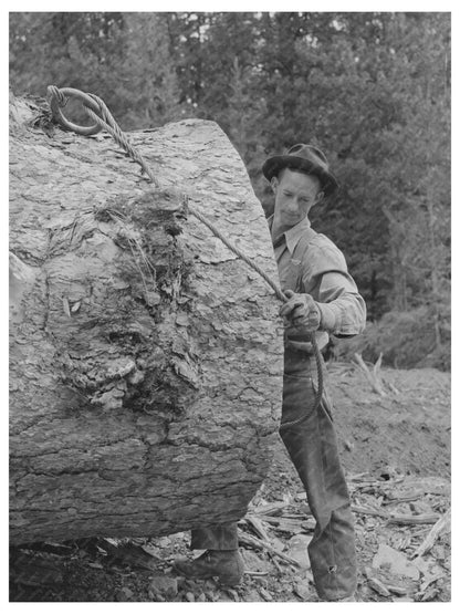 Lumberjack Hitching Cable to Log Grant County Oregon 1942