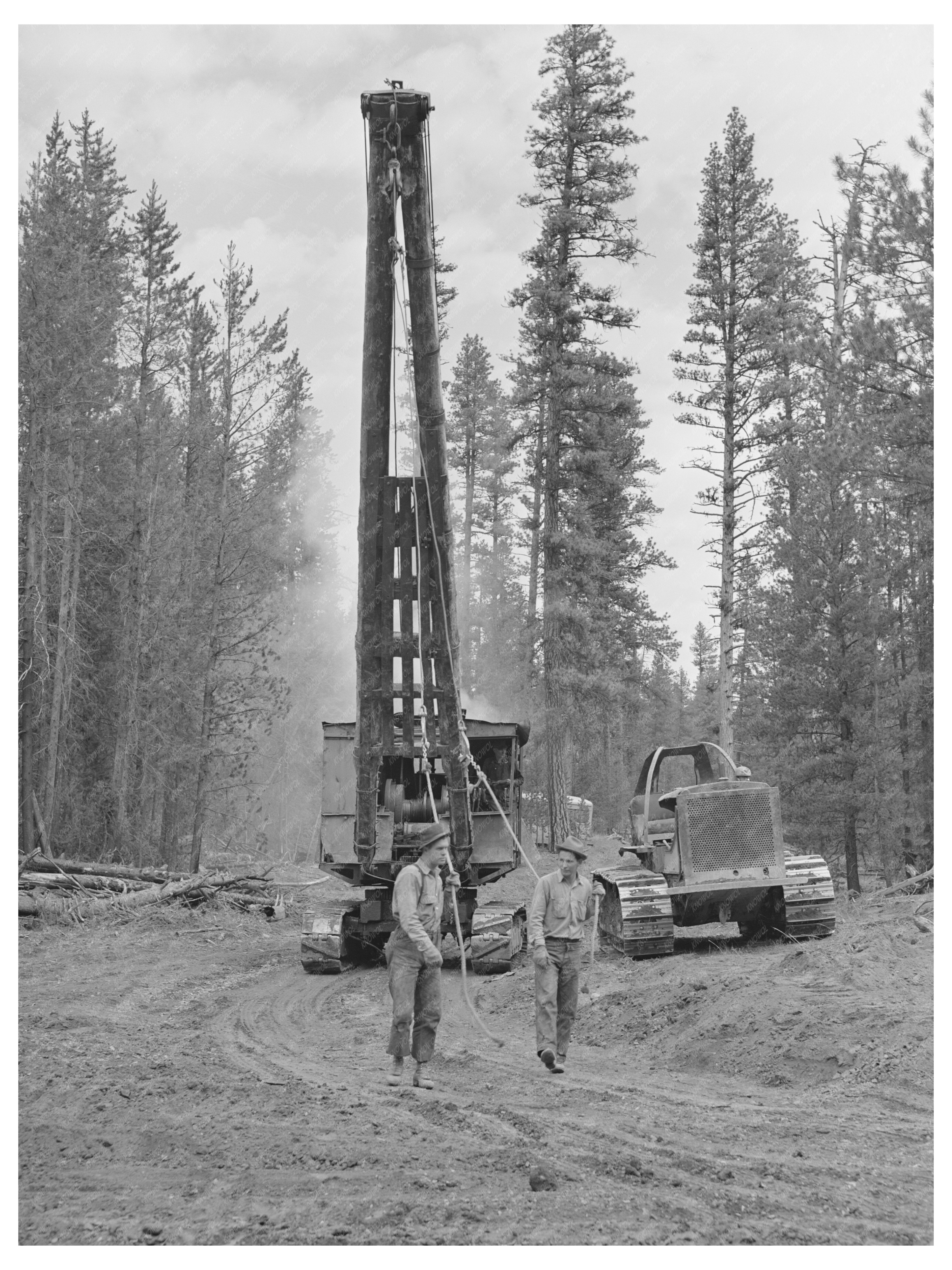 Lumberjack Logging in Grant County Oregon July 1942