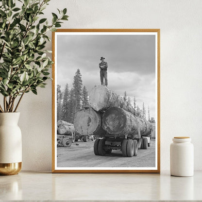 Lumberjack on Truckload of Logs Malheur National Forest 1942