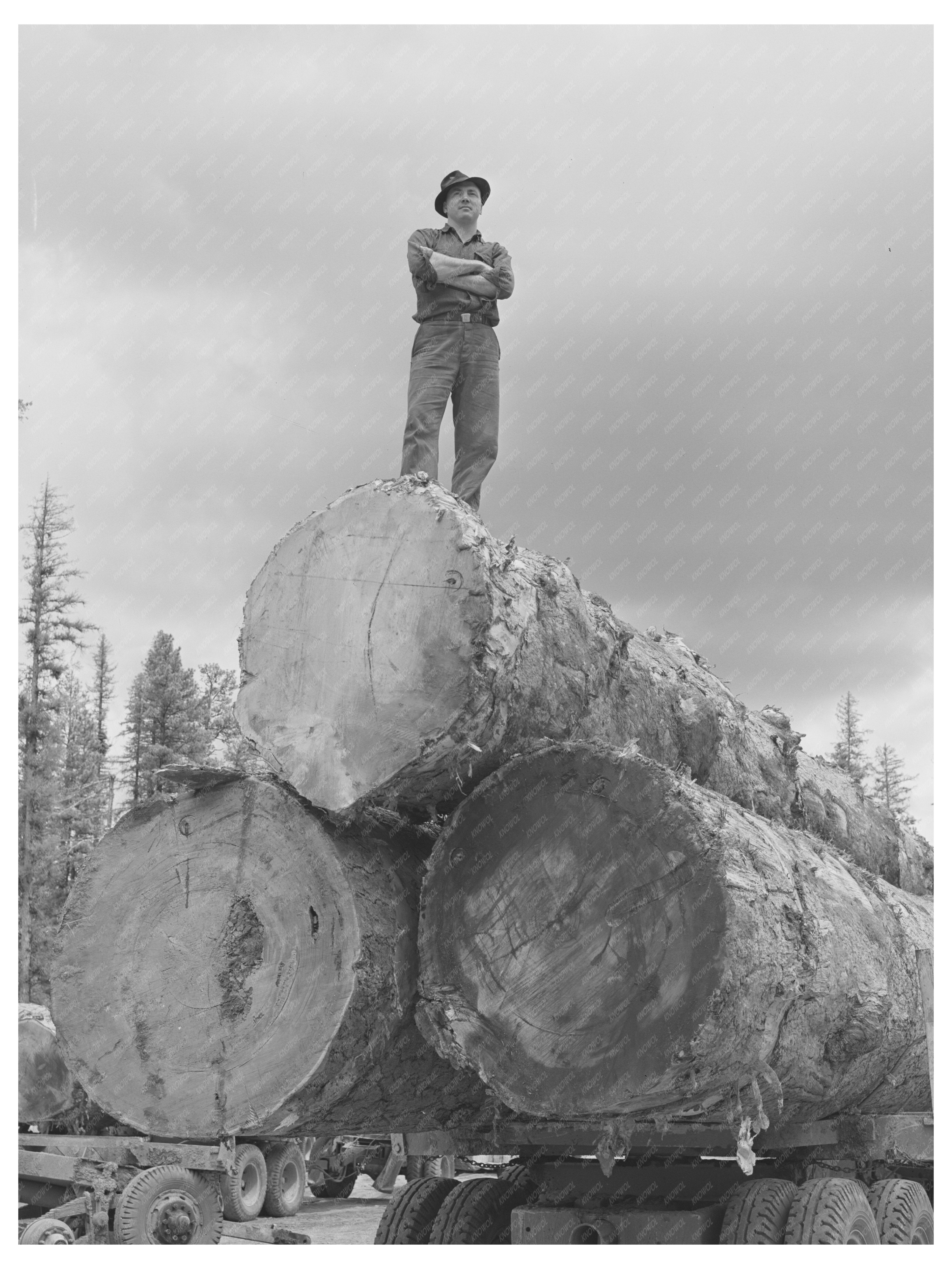 Lumberjack on Truckload of Logs Grant County Oregon 1942