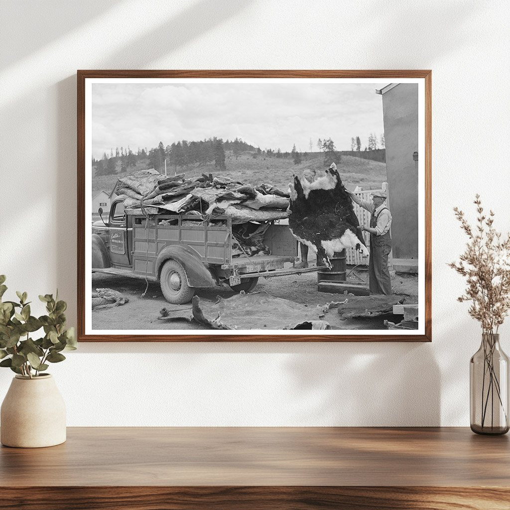 Cattle Hides Loading Truck Seneca Oregon July 1942