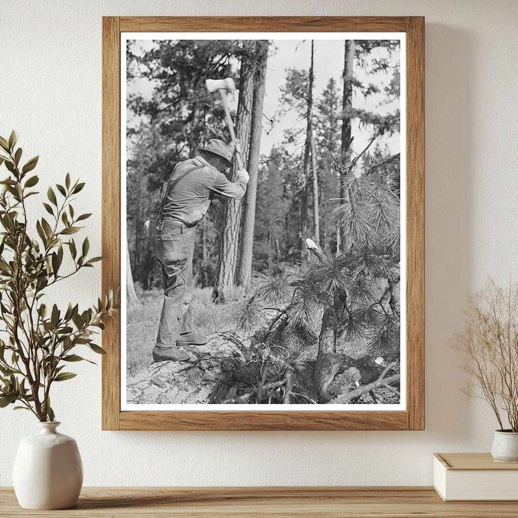 Chopping Branches in Malheur National Forest 1942