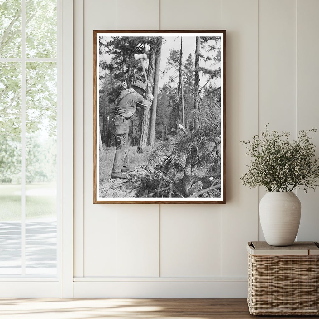 July 1942 Tree Chopping in Malheur National Forest Oregon