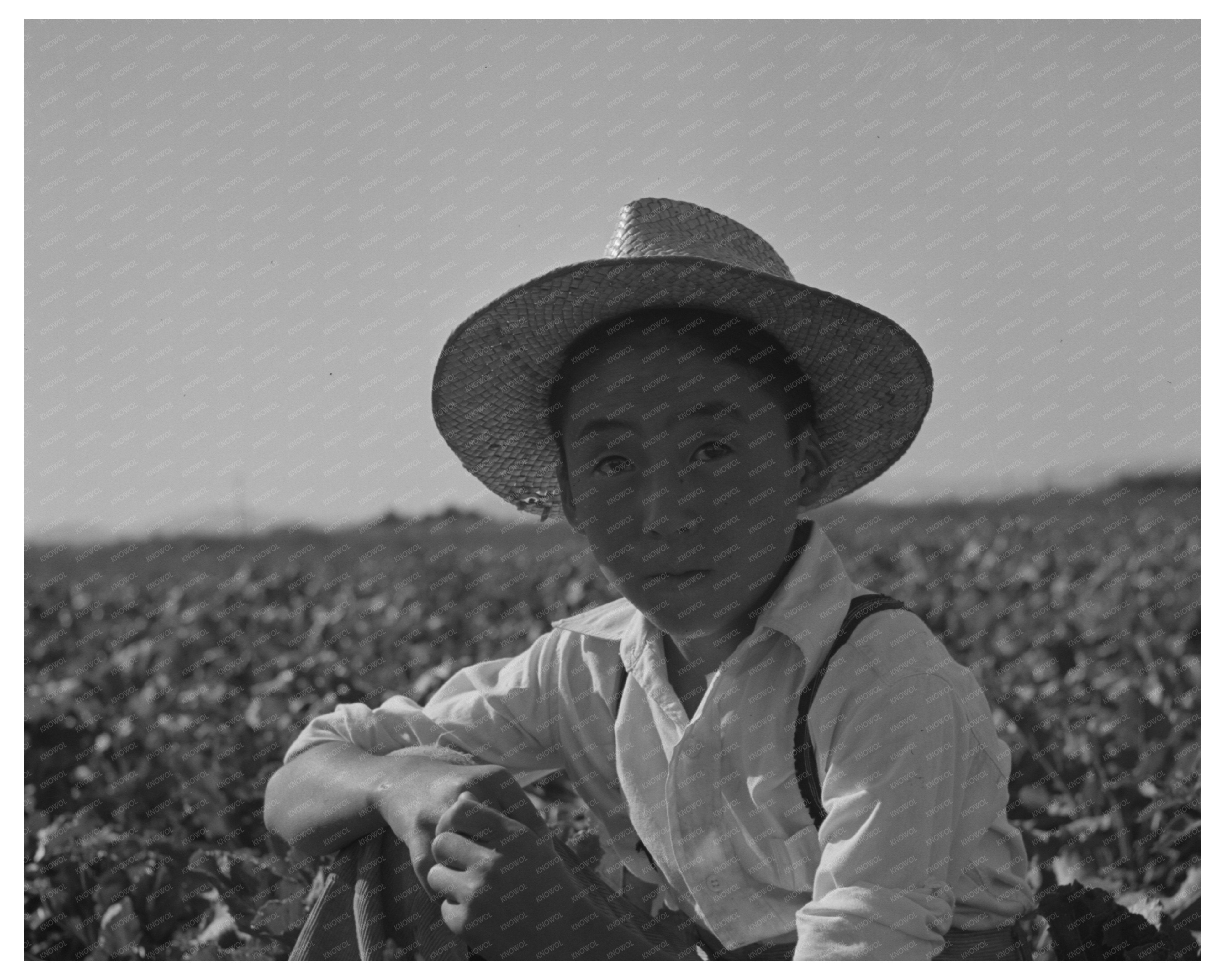 Japanese-American Farm Worker Mobile Camp Nyssa 1942