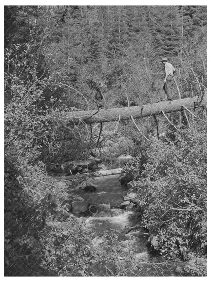 Ola Idaho Timber for Sawmill July 1942