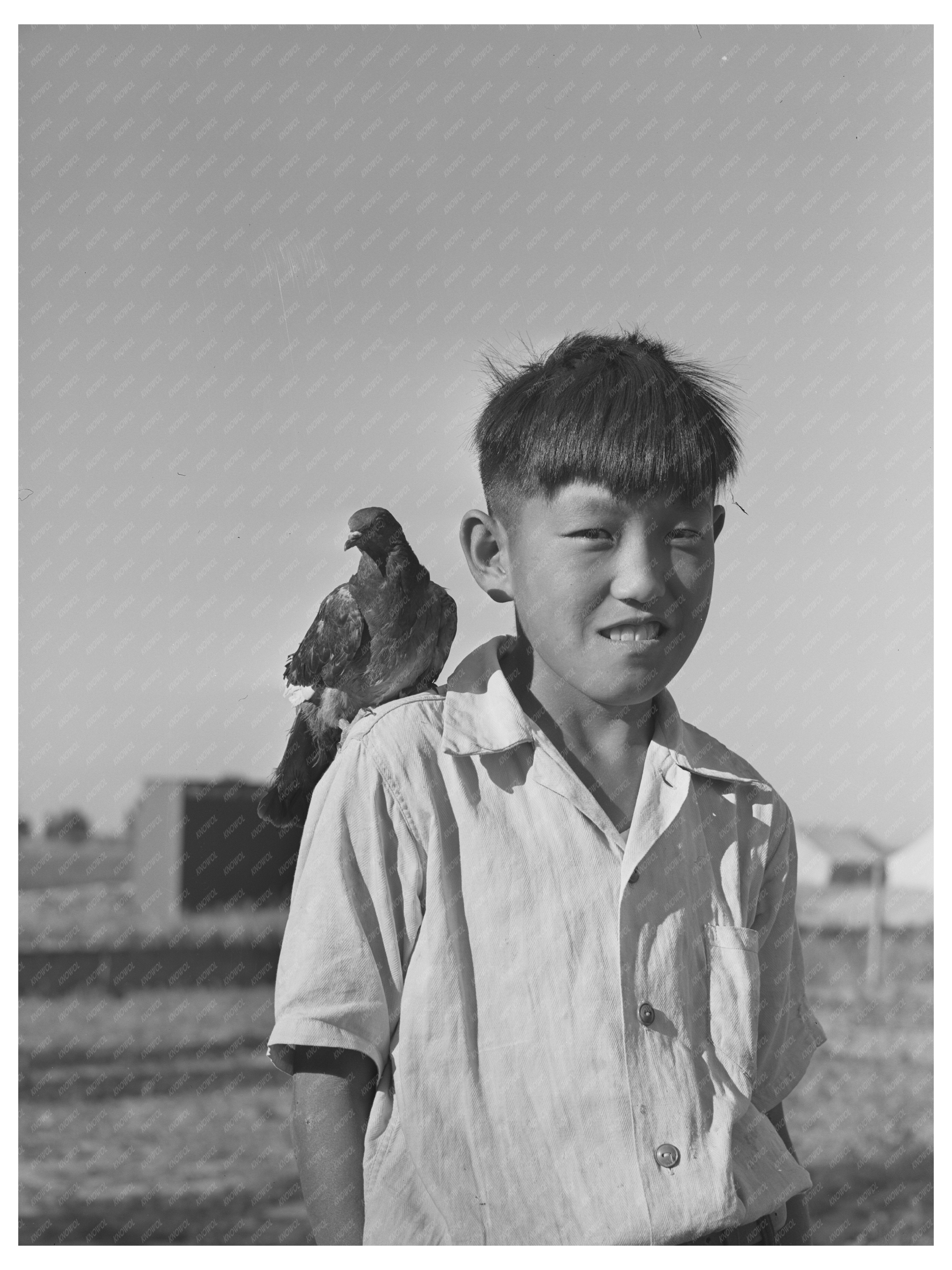 Japanese Child at Farm Security Camp Shelley Idaho 1942