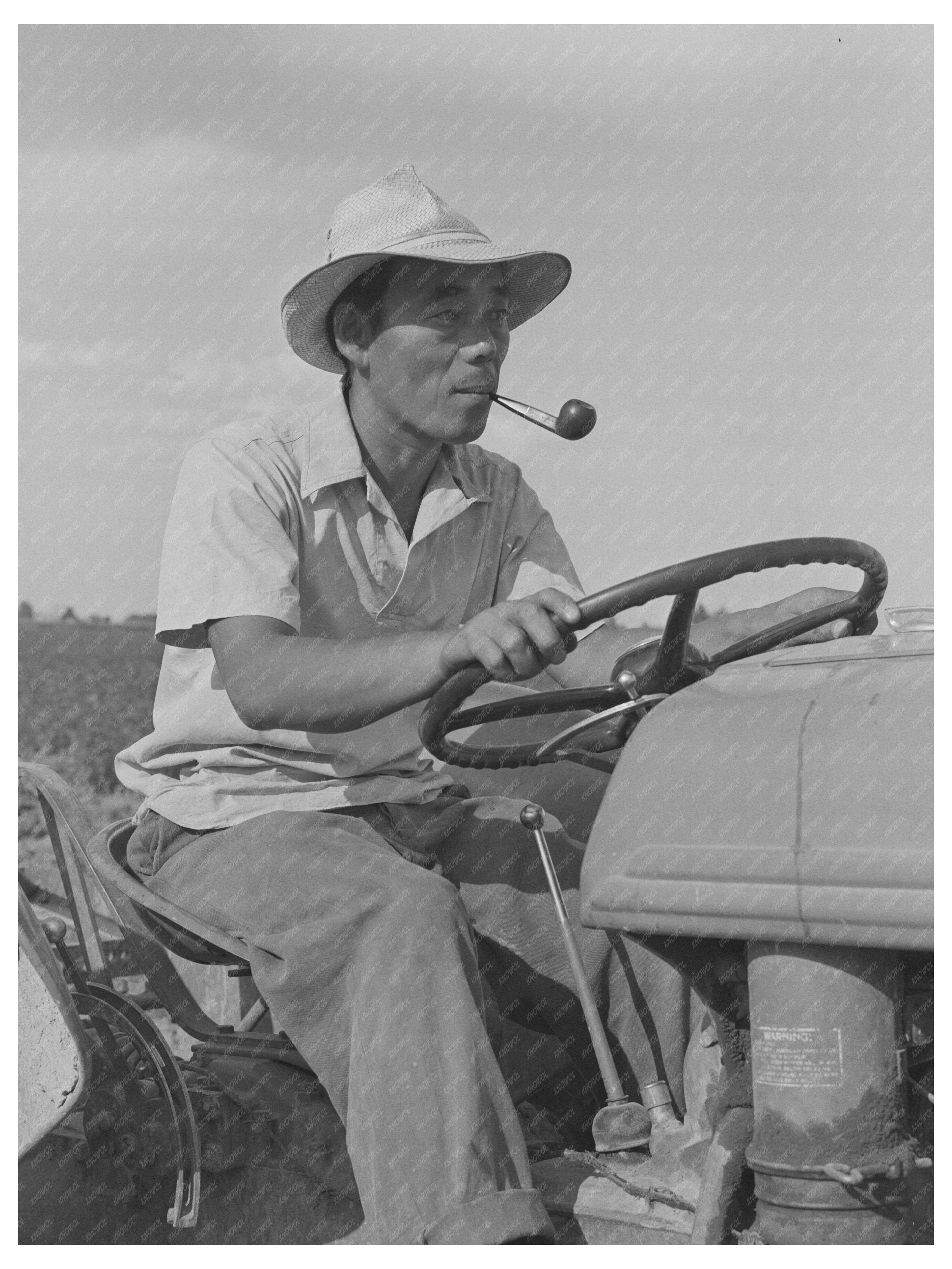Japanese-American Tractor Operator July 1942 Idaho Camp