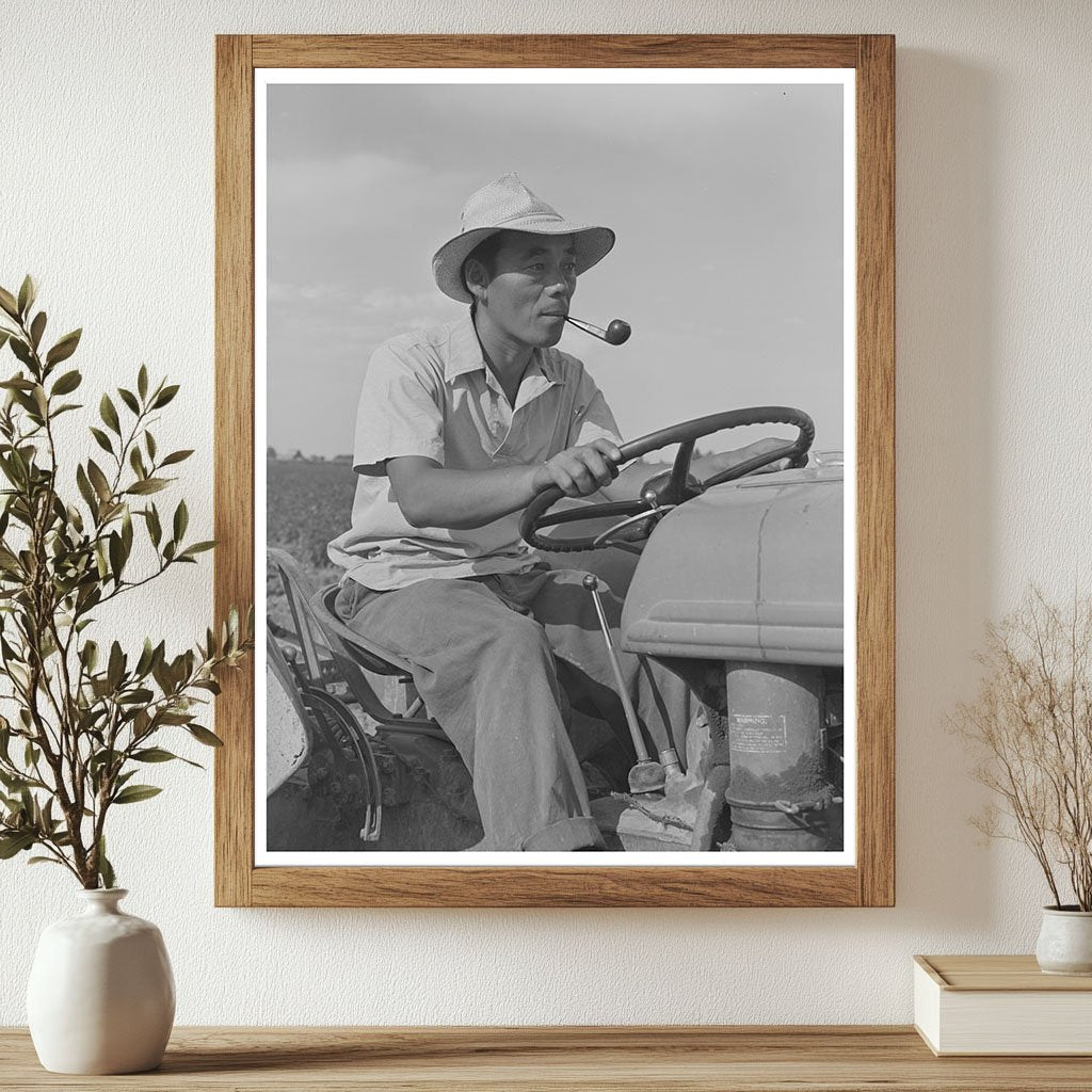 Japanese-American Tractor Operator July 1942 Idaho Camp