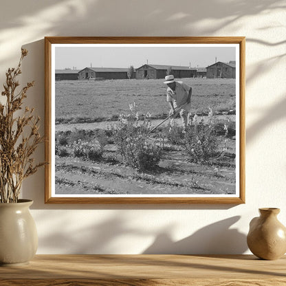 1942 Vintage Image of Japanese-Americans Landscaping Camp