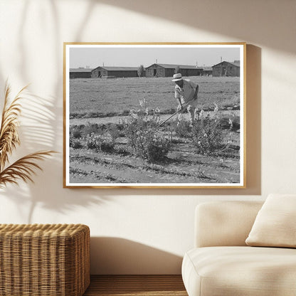 1942 Vintage Image of Japanese-Americans Landscaping Camp