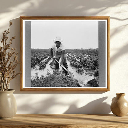 Japanese-American Farm Worker Minidoka County 1942