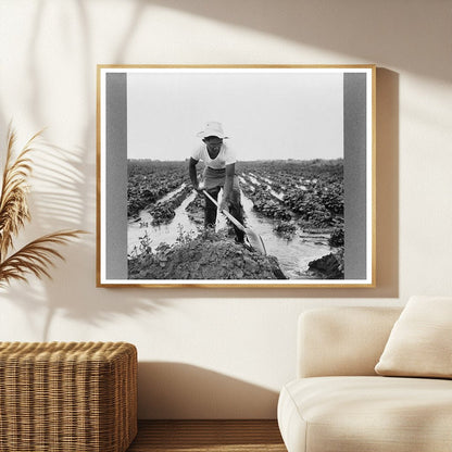 Japanese-American Farm Worker Minidoka County 1942