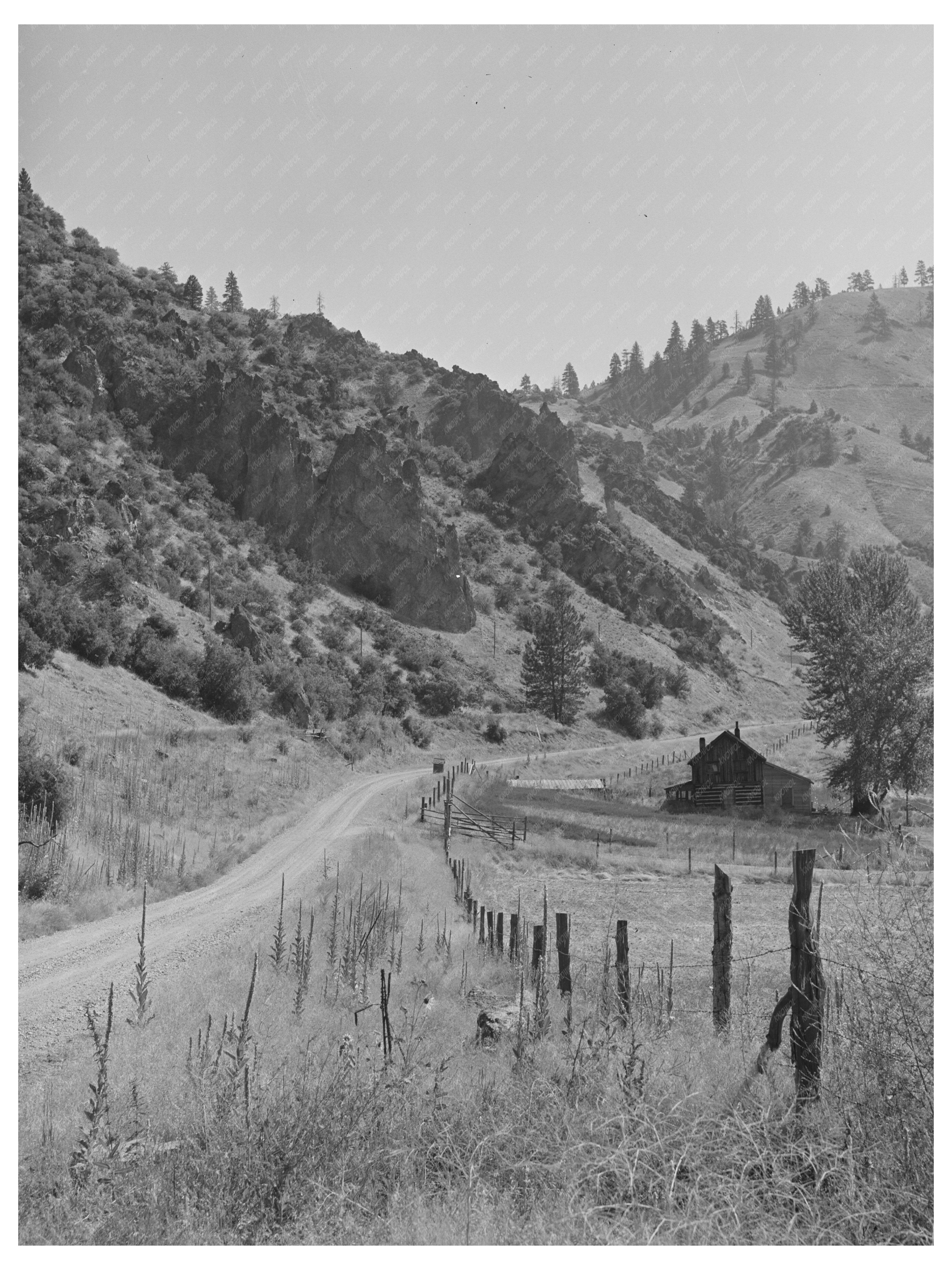 Lemhi County Idaho Road in Salmon River Valley 1942