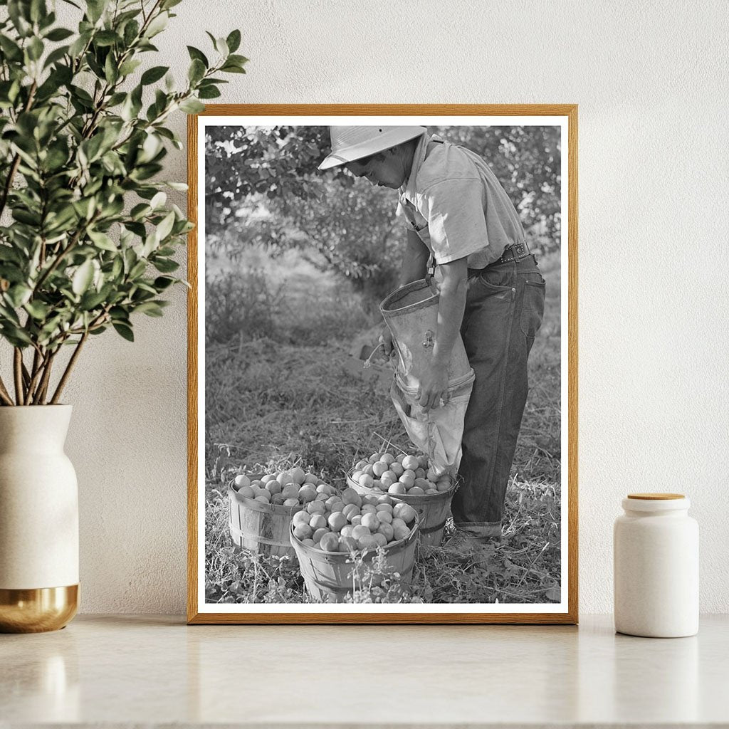 Japanese-American Farm Worker in Idaho 1942