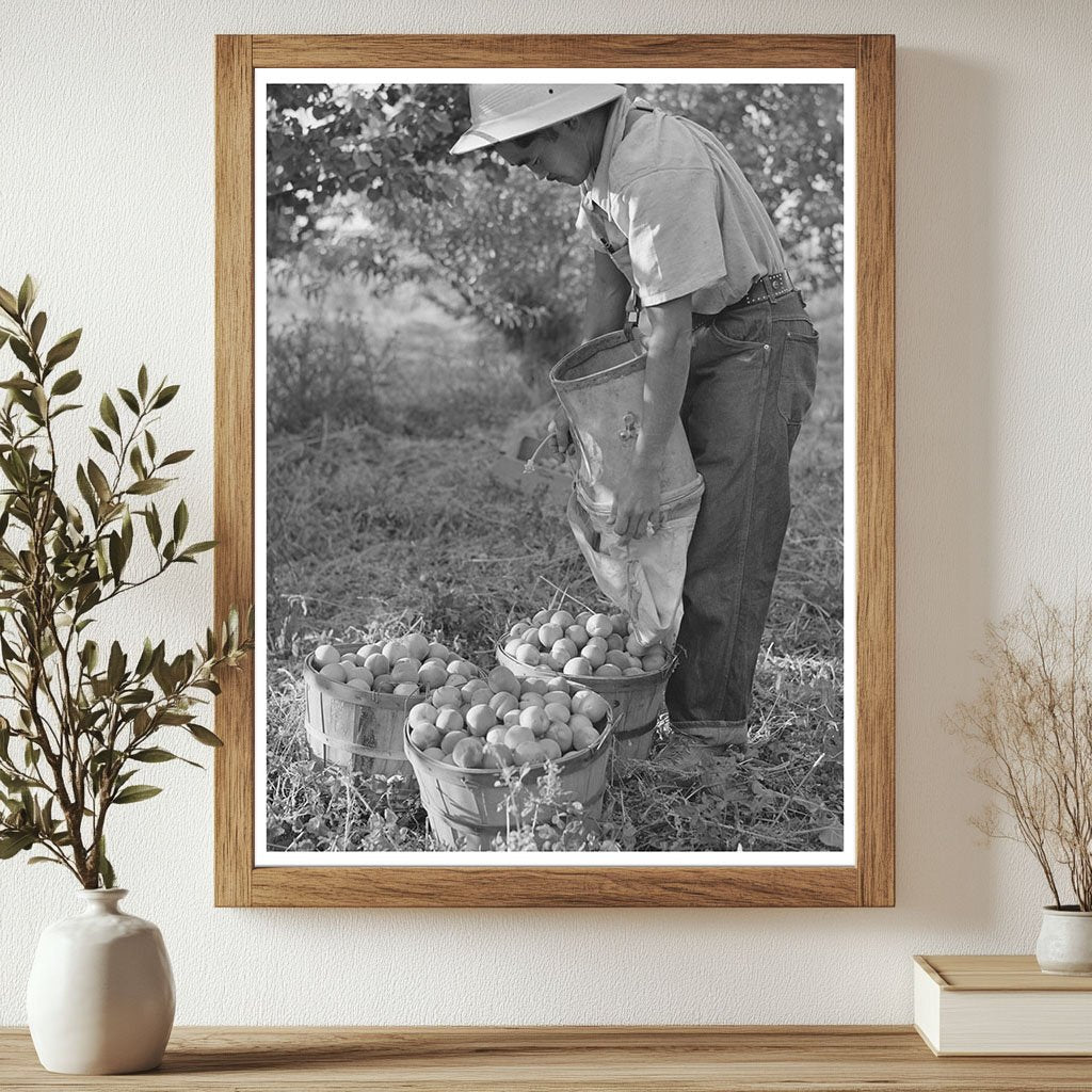 Japanese-American Farm Worker in Idaho 1942