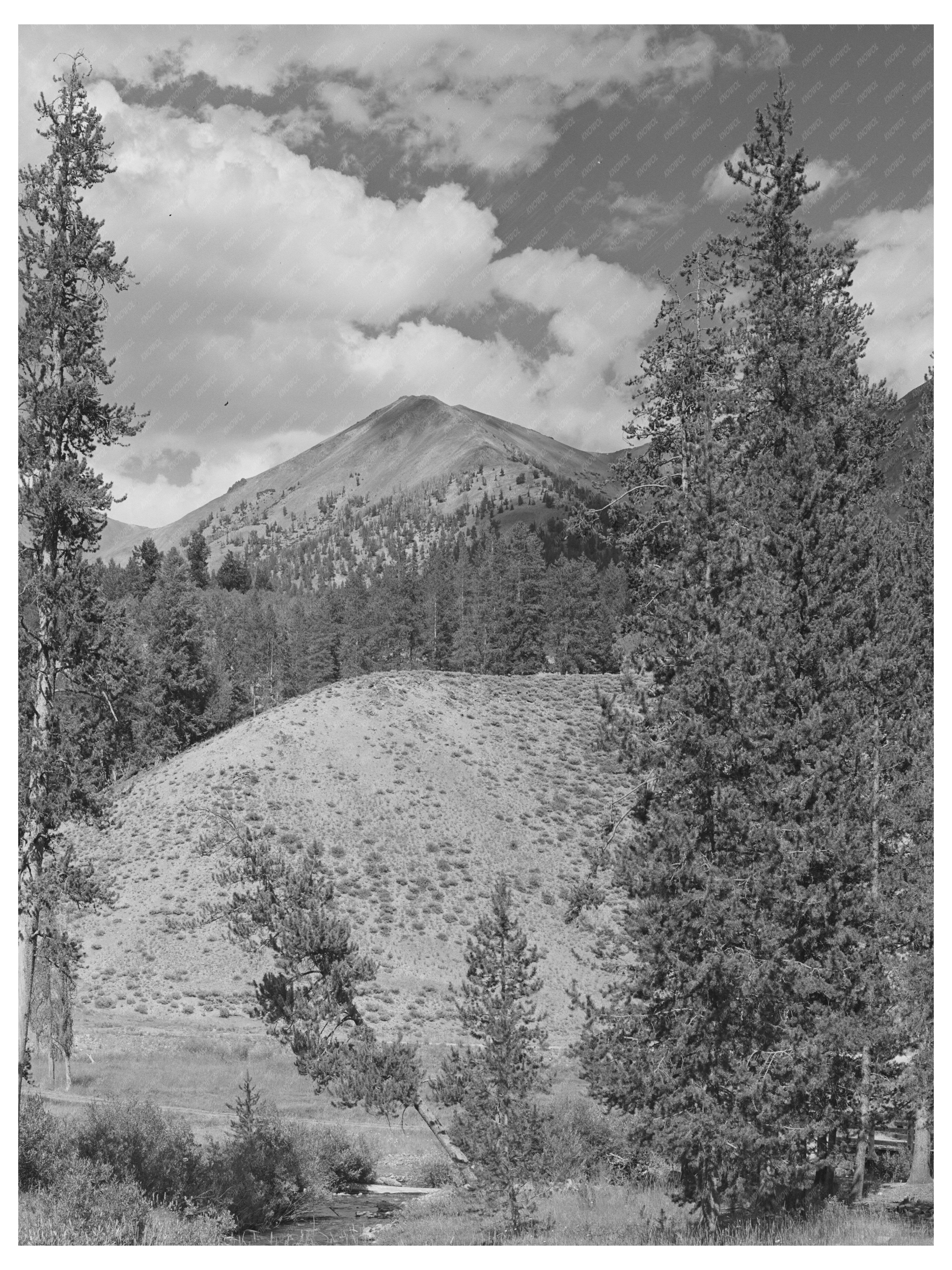 Blaine County Idaho Mountains Big Wood River August 1942