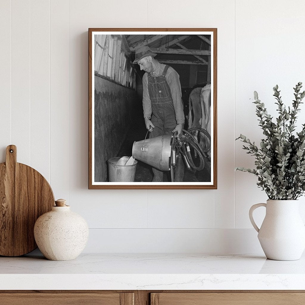 Man Working on Dairy Farm in San Leandro 1942