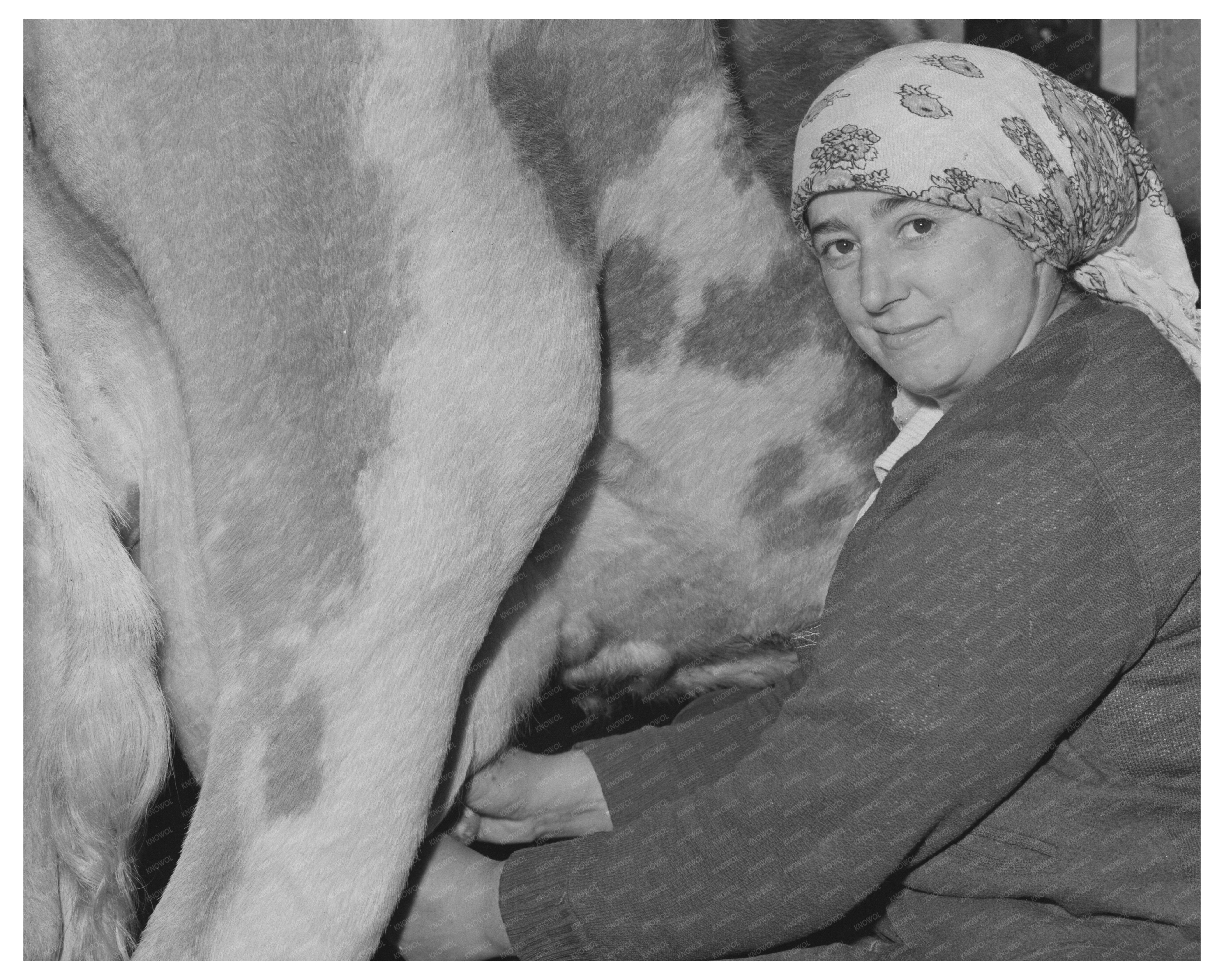 Portuguese Woman on Dairy Farm California 1942