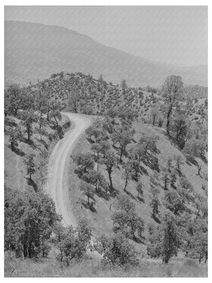 Kern County California Road Landscape May 1942