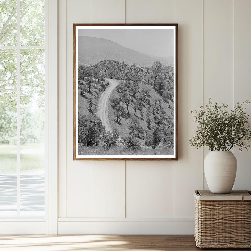 Kern County California Road Landscape May 1942