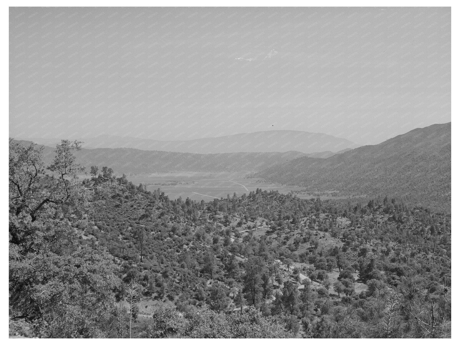 Kern County Mountains California May 1942 Vintage Image