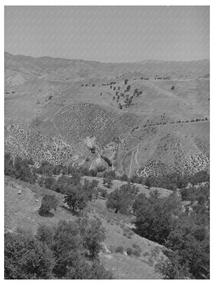 Kern County California Arid Landscape May 1942