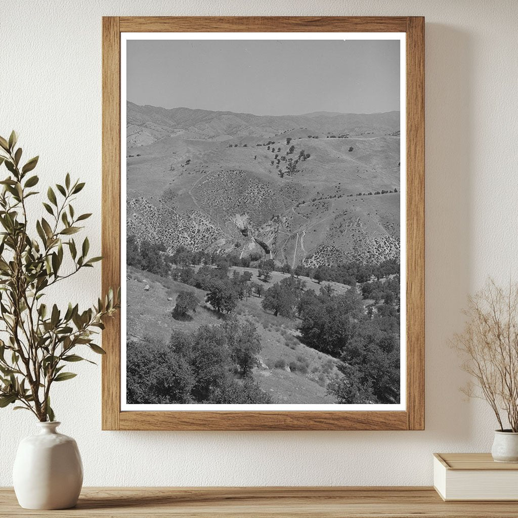 Kern County California Arid Landscape May 1942