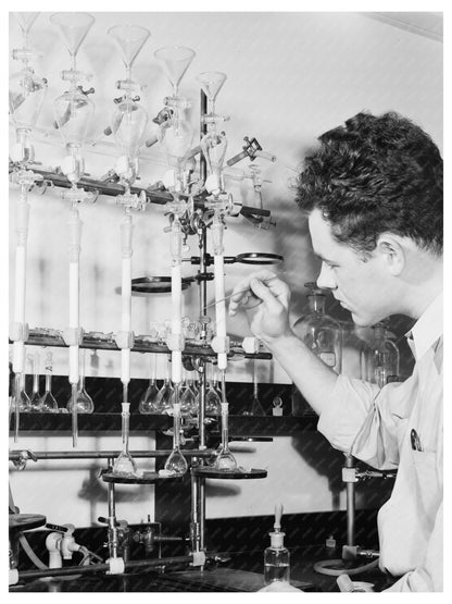 Carotene Test on Dehydrated Vegetables June 1942