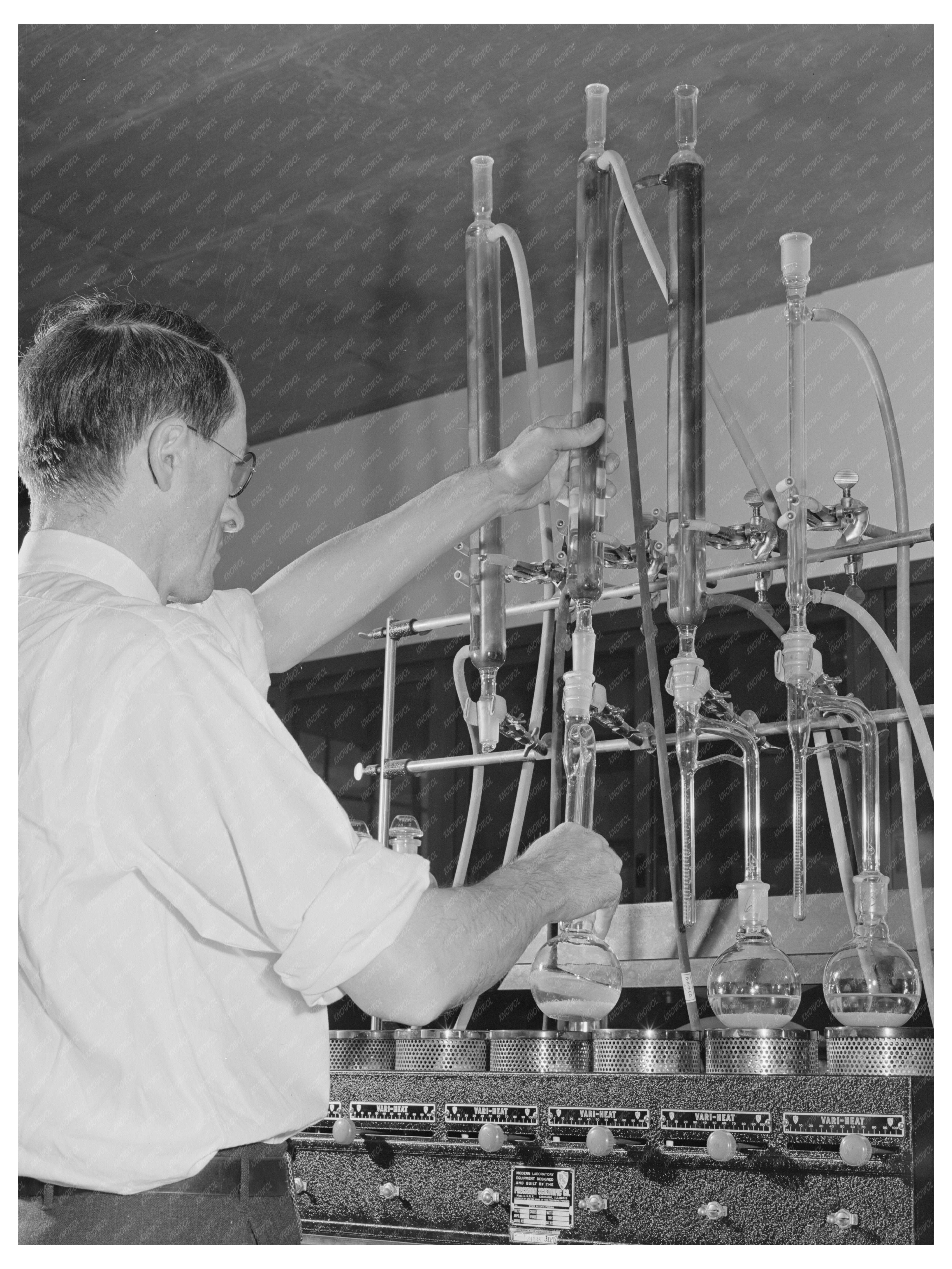 Moisture Analysis of Dehydrated Vegetables June 1942