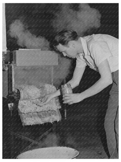 Agricultural Research Cabbage Sampling June 1942