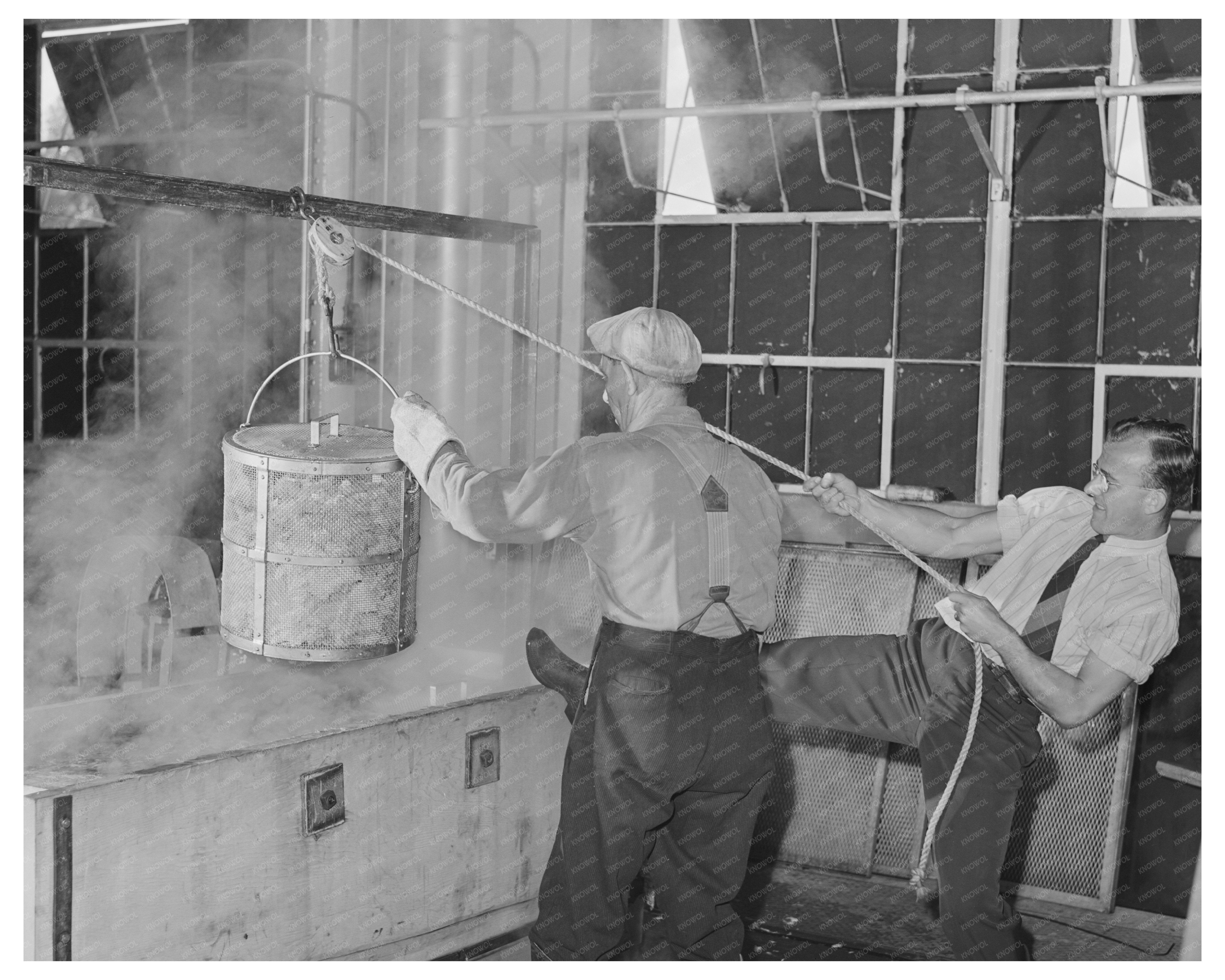 Cabbage Processing Techniques in Albany California 1942