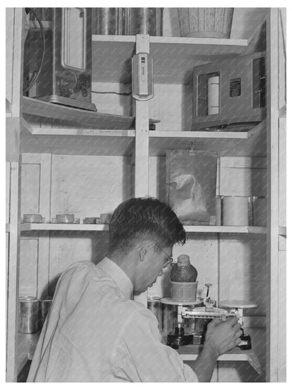 Technician Weighing Dehydrated Vegetables June 1942