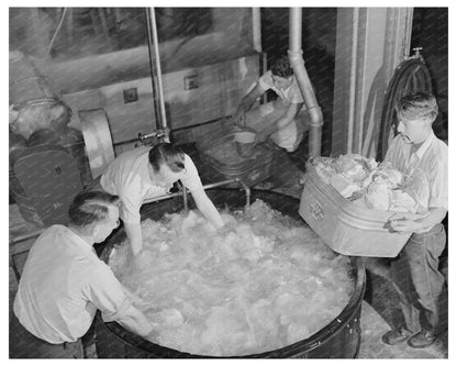 Washing Cabbage for Dehydration June 1942 Albany California