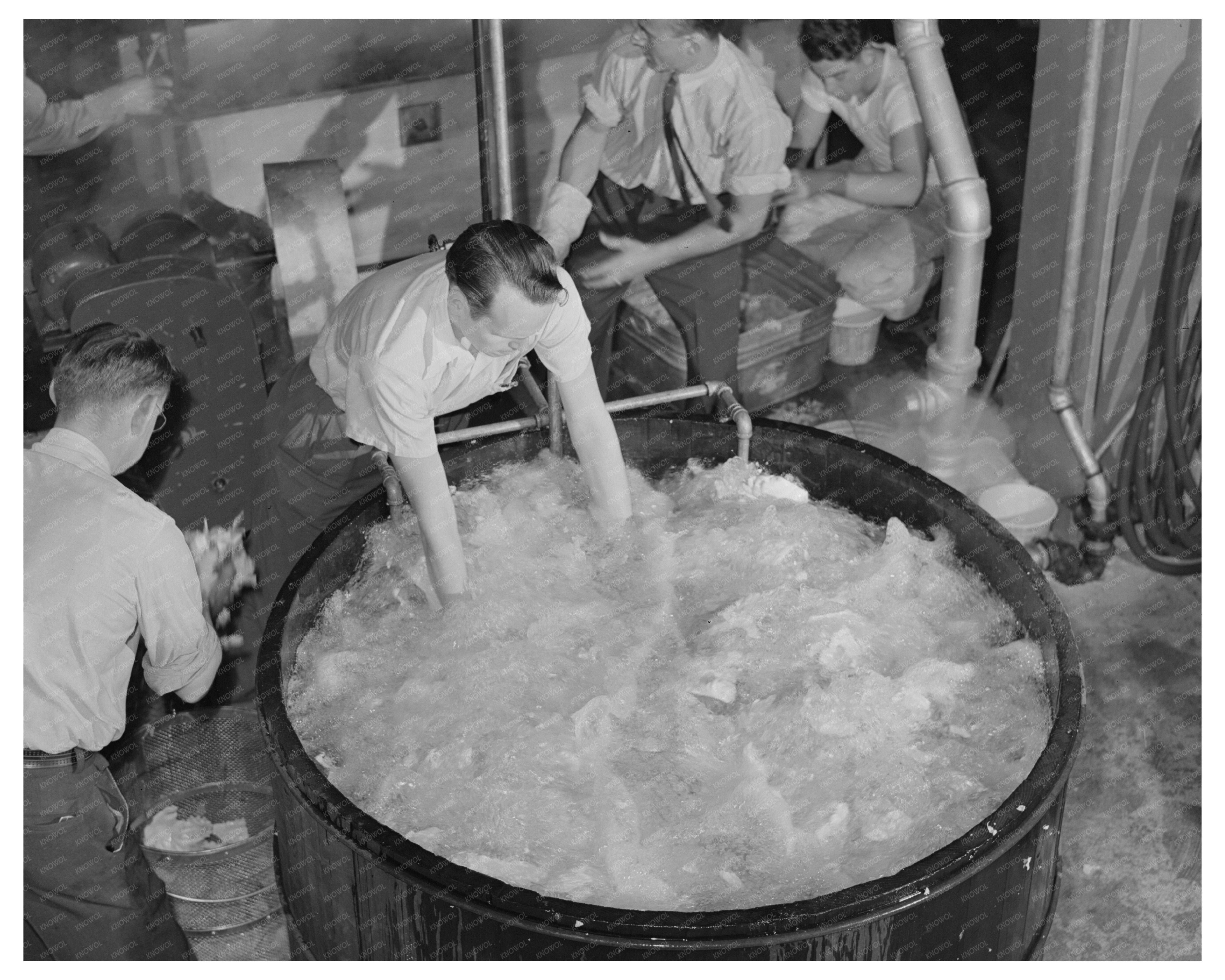 Workers Washing Cabbage at Albany Lab June 1942